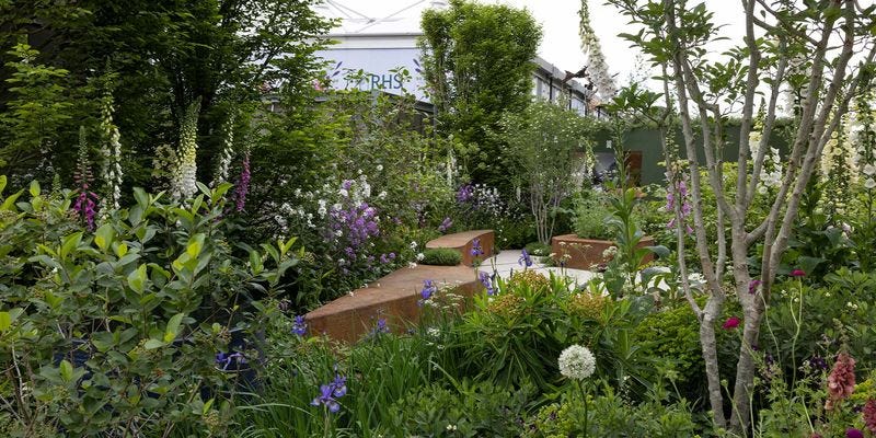 See Mothers for Mothers garden Polly Wilkinson All About Plants Show gardens  at RHS Chelsea Flower Show 2022 / RHS Gardening