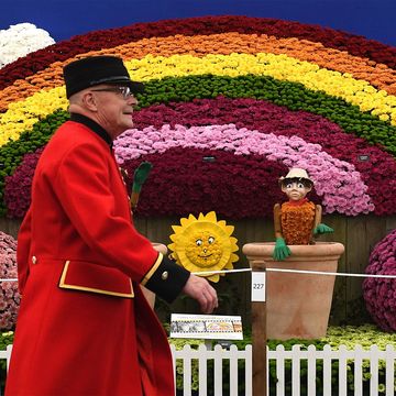 how to watch chelsea flower show on tv