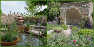 Garden, Yard, Natural landscape, Backyard, Landscape, Plant, Landscaping, Grass family, Courtyard, Flower, 