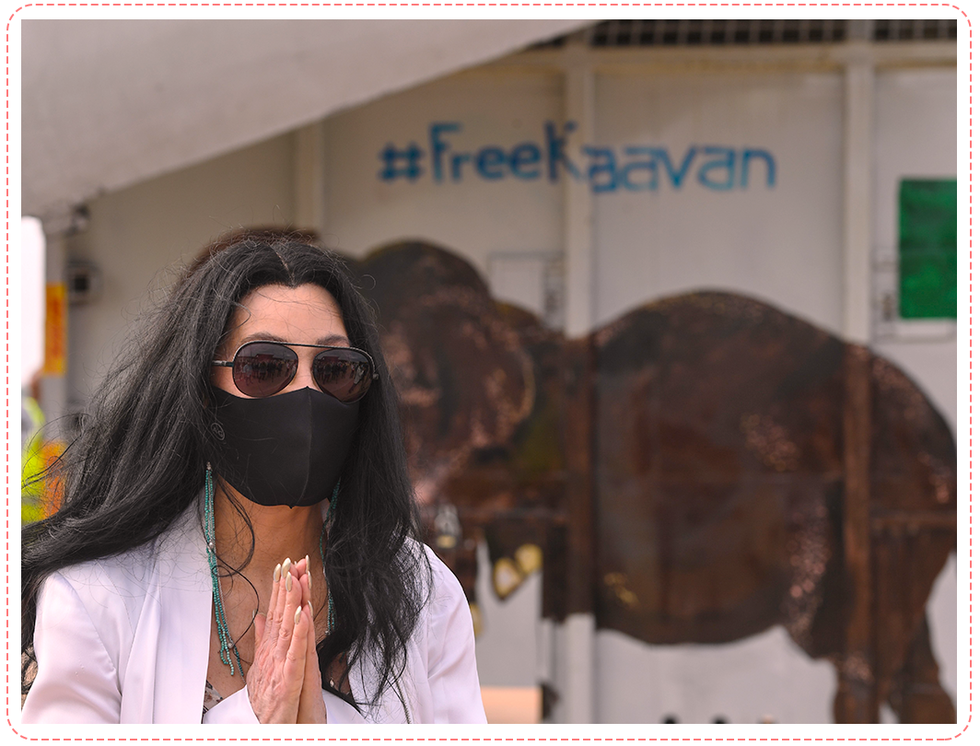 pop singer cher gestures in front of the crate of kaavan