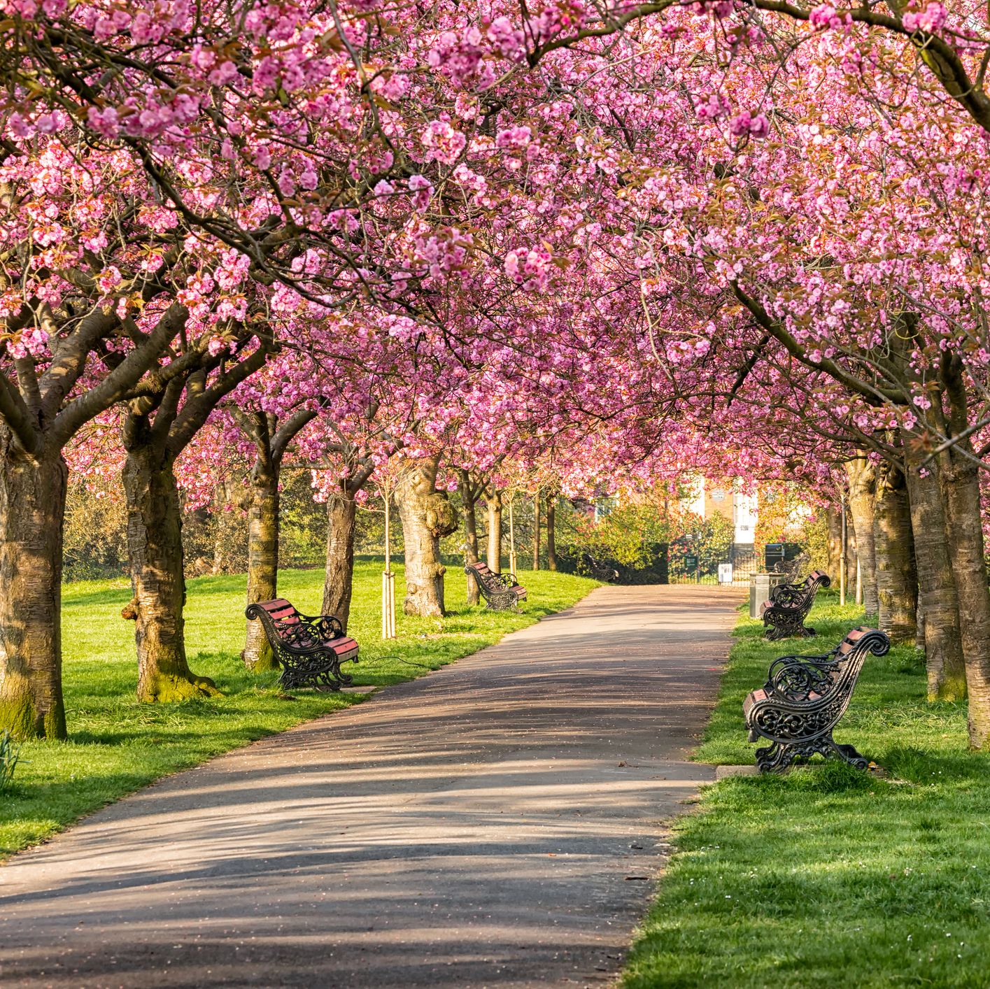 10 best uk cities to see spring flowers in 2021