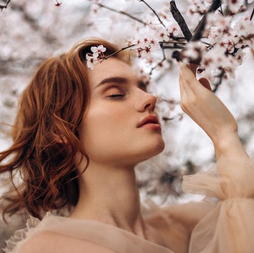 cherry blossom beauty cherry blossom beauty