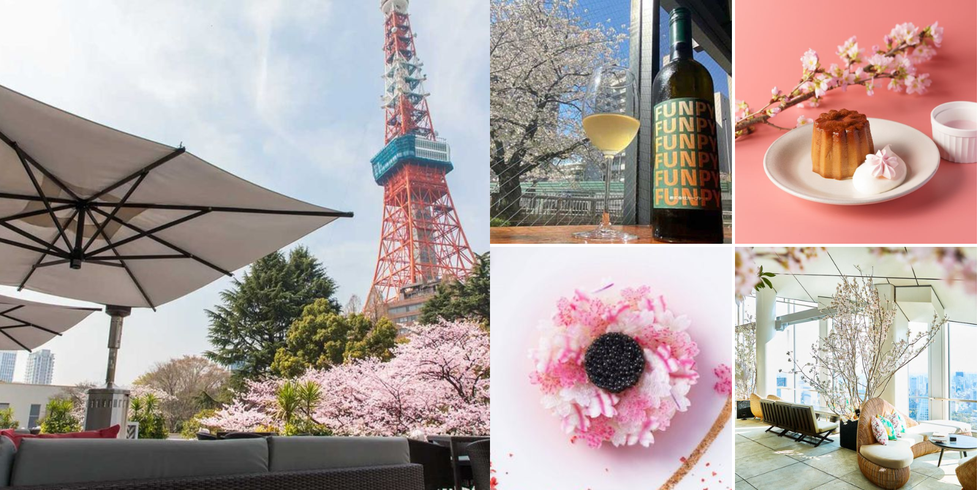 東京近郊の桜が見えるレストラン10選。心華やぐお花見ランチ＆ディナーをチェック！【2023年】