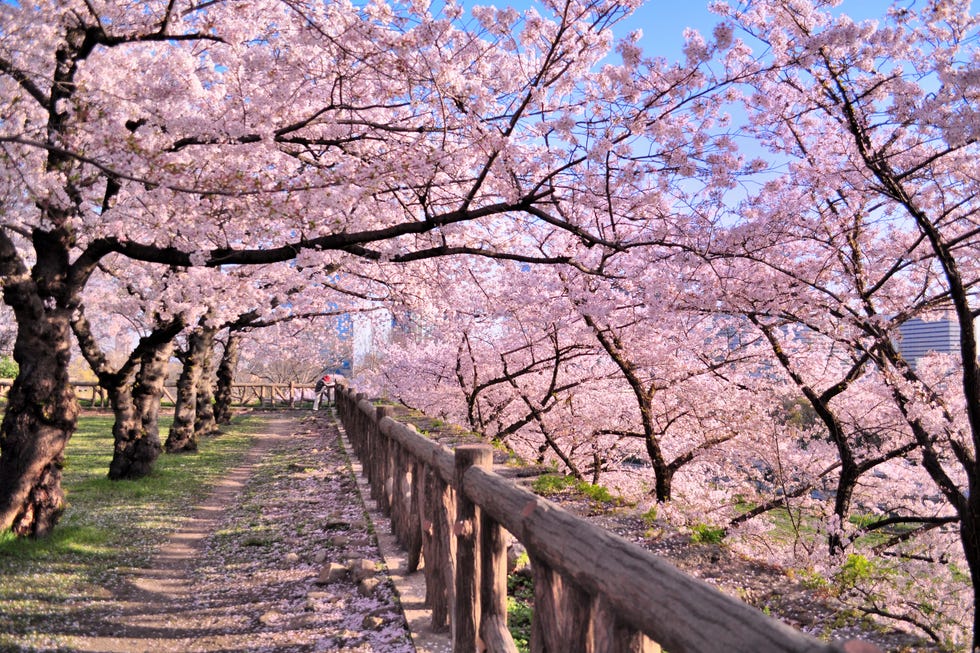 The Best Once in a lifetime Holidays For Travelling Better the-best-once-in-a-lifetime-holidays-for-travelling-better
