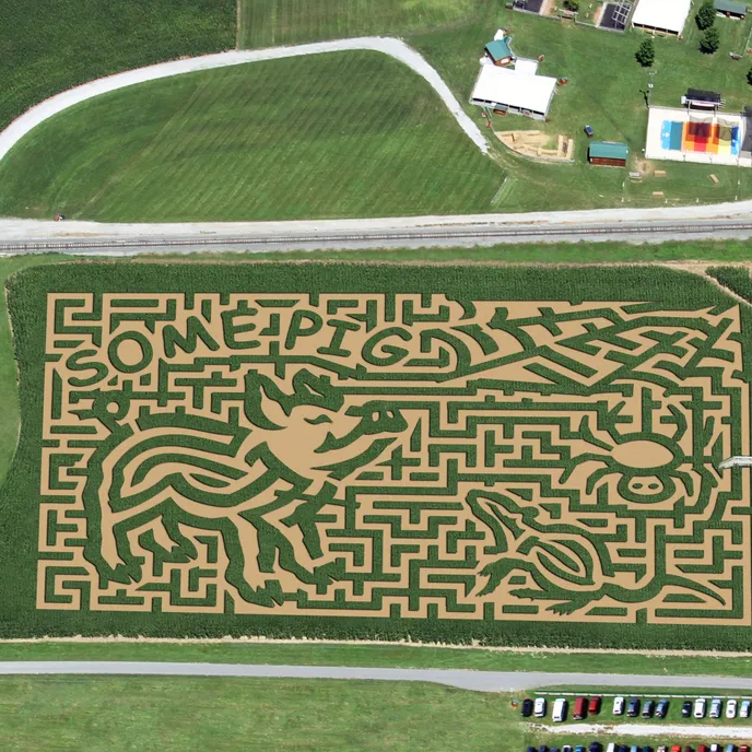 15 Best Corn Mazes to Visit in the U.S. This Fall 15 Best Corn Mazes to Visit in the U.S. This Fall