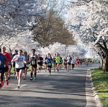 a group of people running on a road with cherry blossom trees