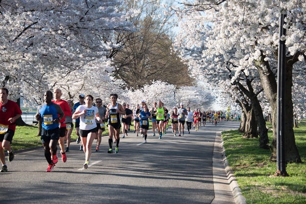 a group of people running on a road with cherry blossom trees