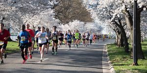 a group of people running on a road with cherry blossom trees