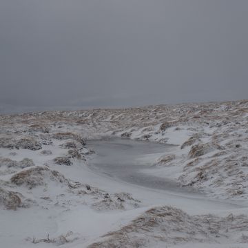 cheviot hills in snow
