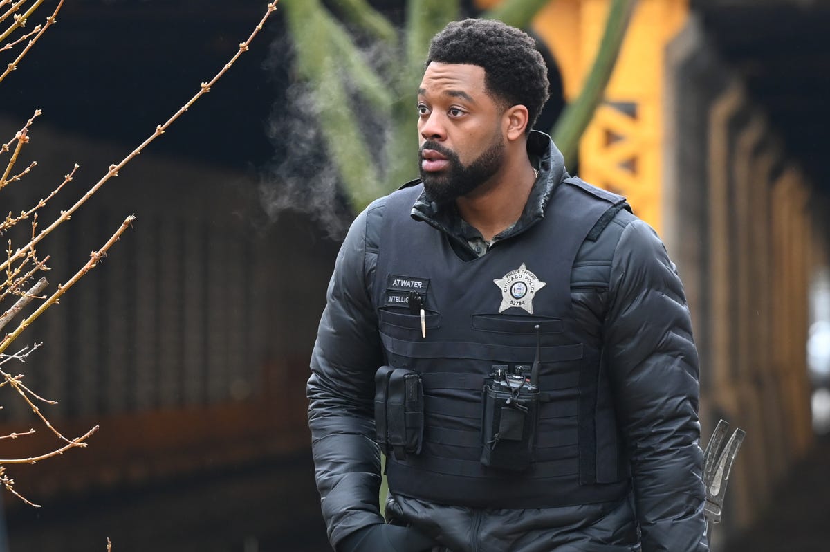 Chicago PD star LaRoyce Hawkins confirms season 11 delay