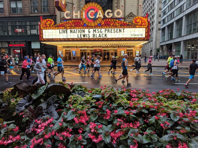 Pedestrian, Public space, Crowd, Flower, City, Plant, Street, Architecture, Recreation, Event, 