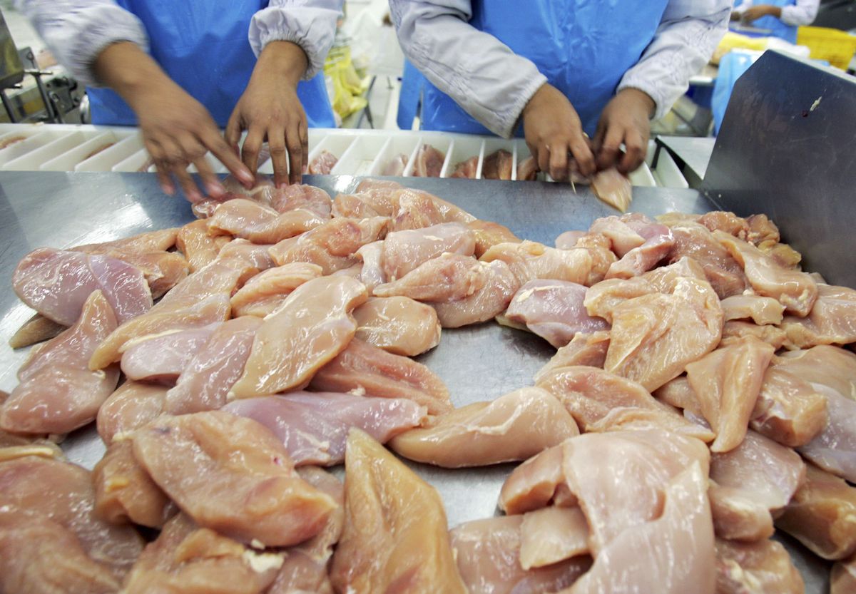 chonburi, thailand july 9 chicken breasts get sorted at the thai poultry grouptpg chicken processing and slaughtering factory july 9, 2005 in chonburi, thailand the factory has 1,200 employees able to deal with 10,000 birds per hour at full capacity,however since bird flu the processing plant has had to cut its production down almost 40 thai poultry group exports to european union, japan, middle east, hong kong and korea delegates at a recent bird flu conference in malaysia have come up with a plan to try and tackle the disease before it spreads further from human to humanphoto by paula bronsteingetty images
