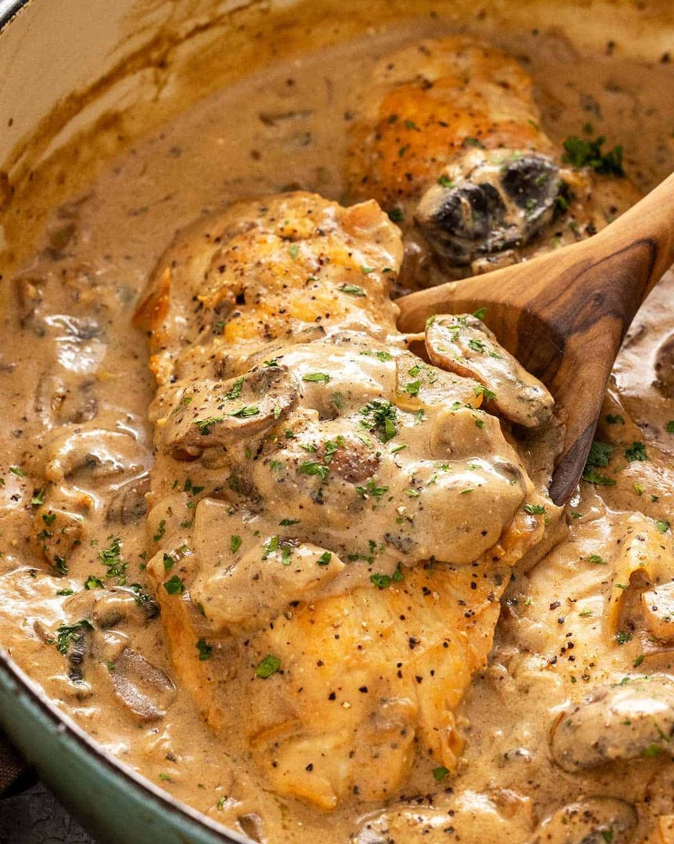 chicken and mushroom recipes chicken stroganoff