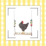 chicken on a swing and pack of chicken nesting herbs