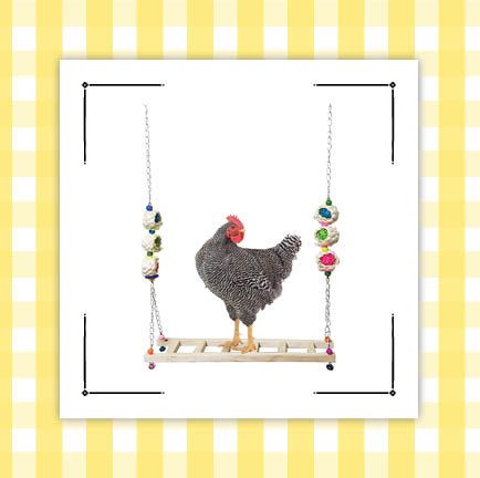 18 Chicken Coop Accessories From  - Products for Your