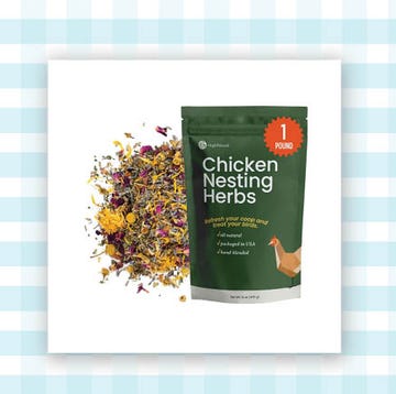 chicken nesting herbs and a chicken on a swing