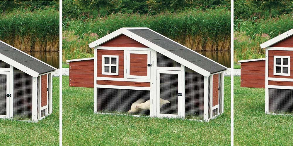 Costco Sells a 2Story Chicken Coop So Nice That We’re Ready to Move in