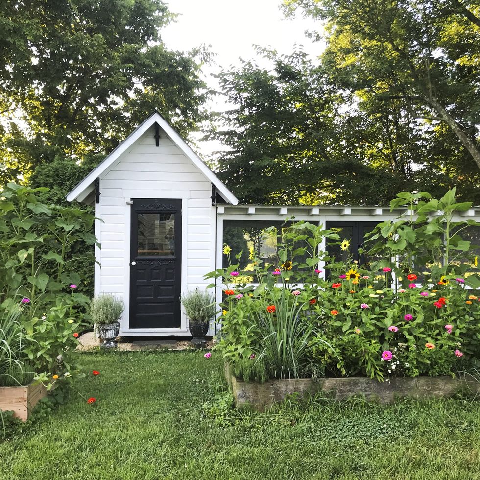 DIY Chicken Feeder - Little House Living