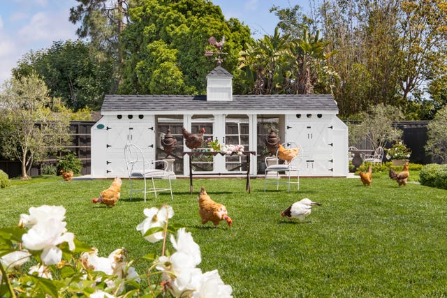 chicken coop