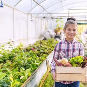 child holding crate of sustainable foods child holding crate of locally grown vegetables, an example of sustainable foods