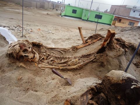 De lokale bevolking licht archeoloog Gabriel Prieto in over de offerplaats in 2011 omdat de menselijke stoffelijke resten uitstaken boven de duinen rond hun huizen