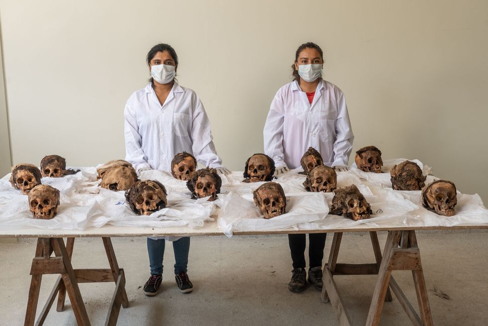 Studenten archeologie van de Nationale Universiteit van Trujillo kort voor ze een aantal schedels uit het massagraf in Huanchaquito schoonmaken en onderzoeken Dankzij het zeer droge klimaat in het noorden van Peru mummificeerden veel lichamen die daardoor opmerkelijk goed bewaard zijn gebleven