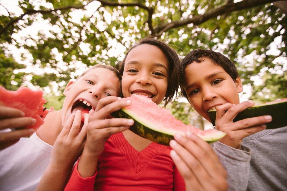 children on a wooden fence eating watermelon on summer day