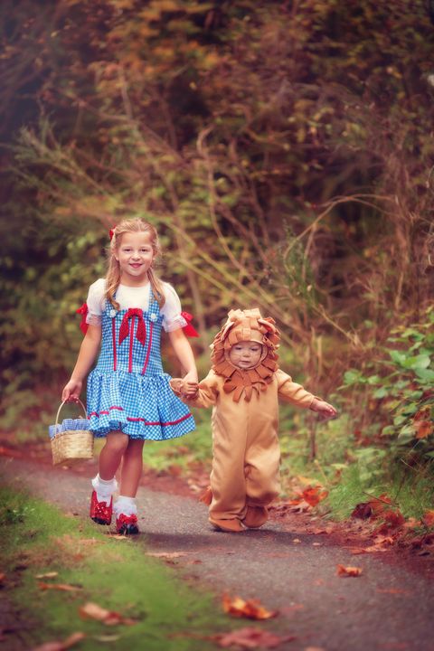 dorothy and cowardly lion costume