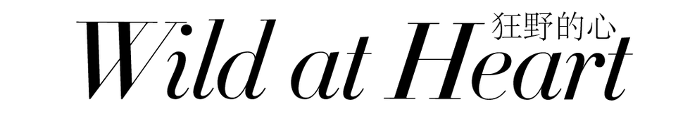 Text, Font, Line, Calligraphy, Brand, Logo, Trademark, Black-and-white, Parallel, Art, 