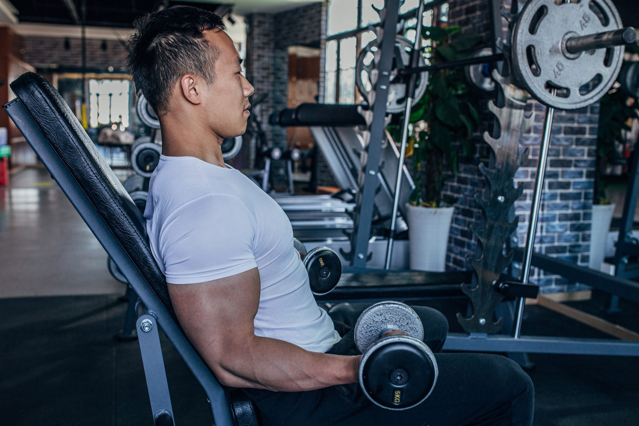 El banco plegable de  para entrenar - Gimnasio en casa