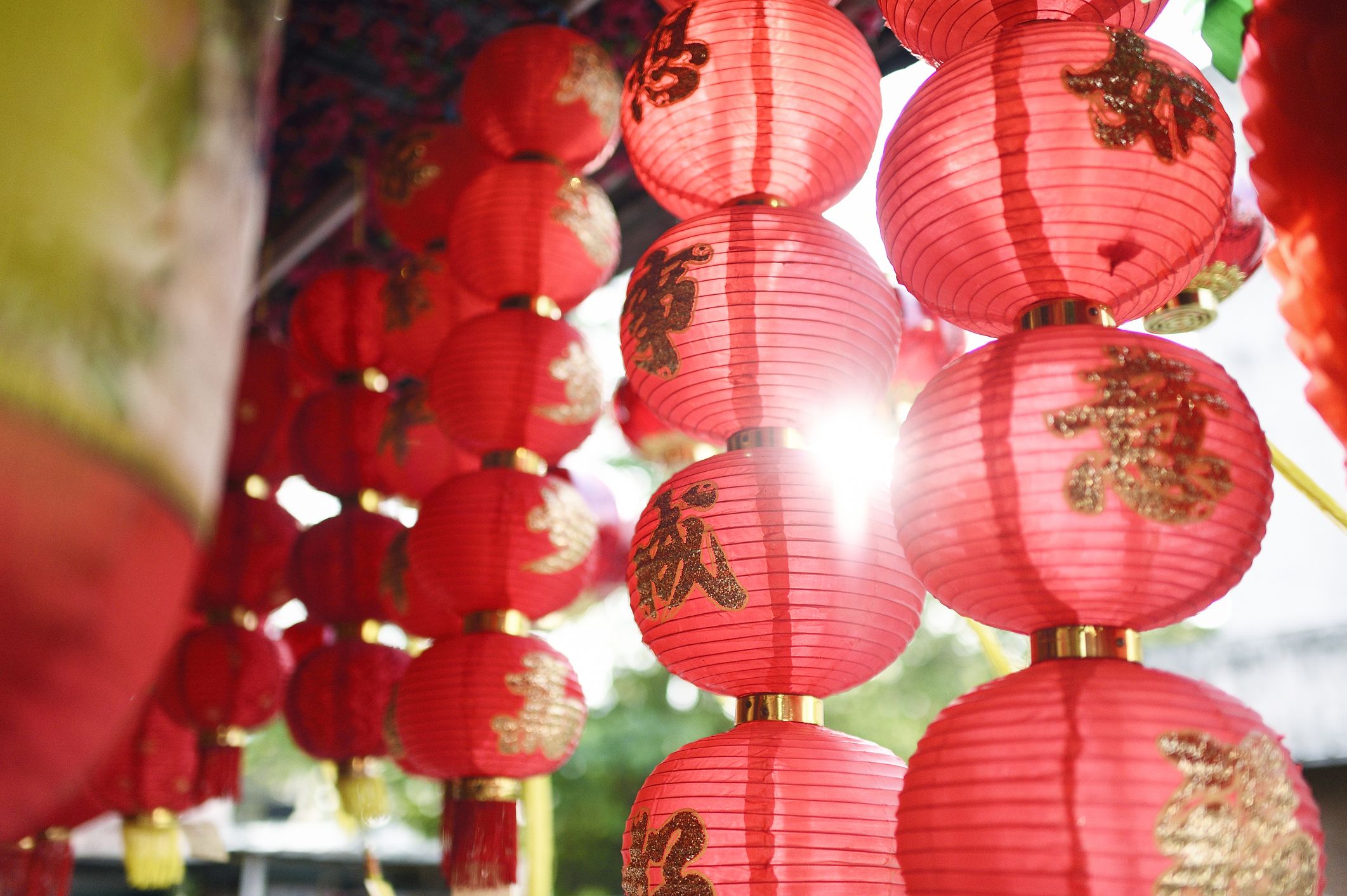 Chinese New Year: Beautiful red packets for the Year of the Rabbit