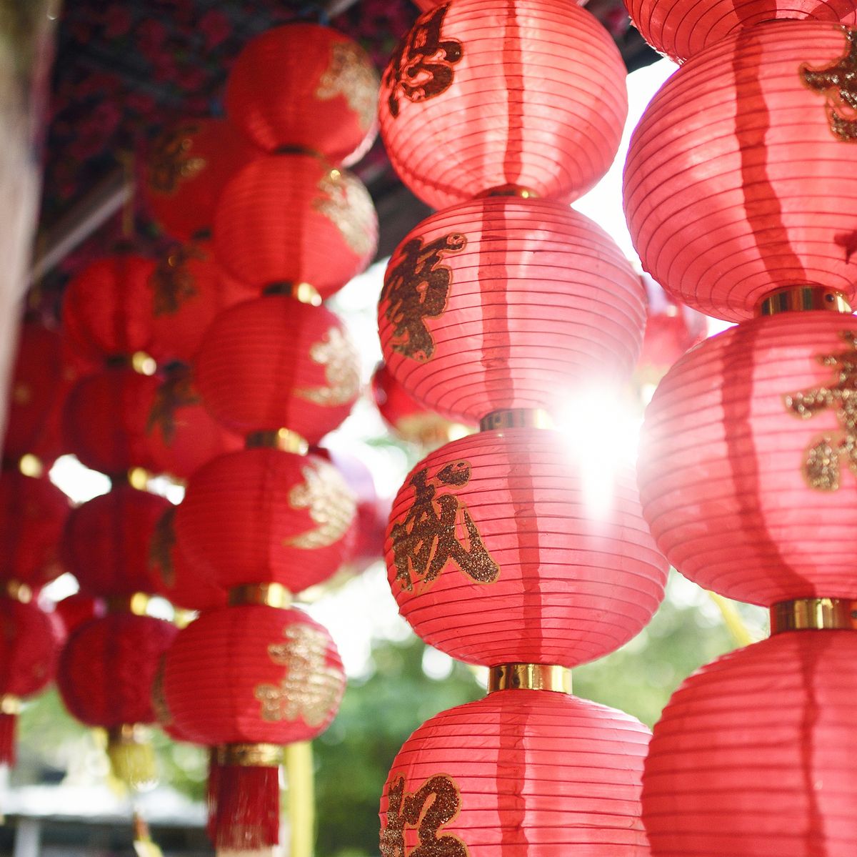 Lunar New Year 2022: Decorate your space with these festive  finds 