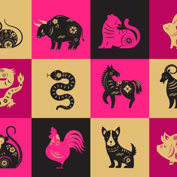 chinese new year, zodiac signs, papercut icons and symbols vector illustrations