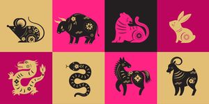 chinese new year, zodiac signs, papercut icons and symbols vector illustrations