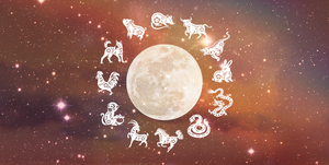 a full moon with illustrations of the animals represented in the chinese zodiac surrounding it   including the  rooster, snake, and rabbit   over a dark, starry sky