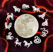the 12 signs of the chinese horoscope surrounding the moon