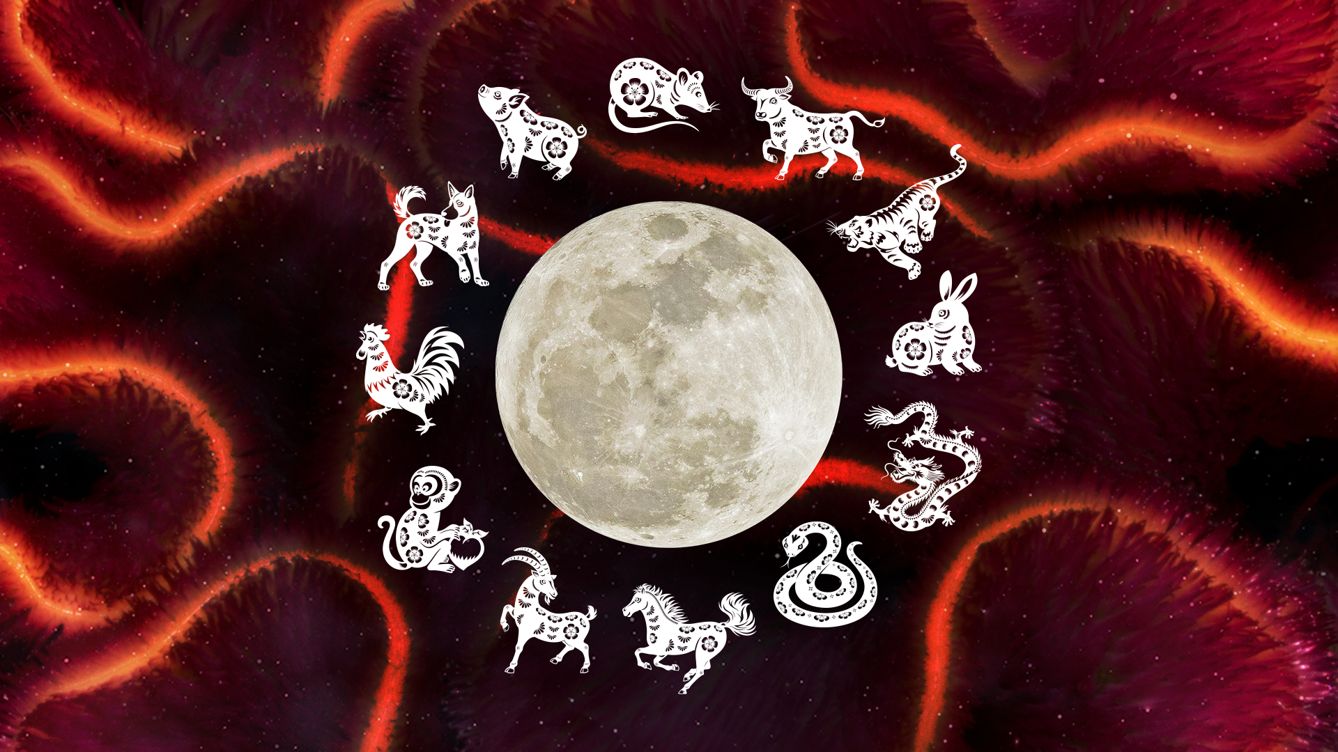 chinese zodiac pictures