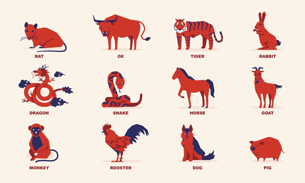 chinese zodiac