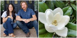 chip and joanna gaines magnolia meaning