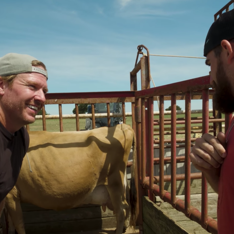 "Fixer Upper" Star Chip Gaines with YouTubers Dude Perfect Milks Cow