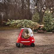 little boy with christmas tree on top of toy car