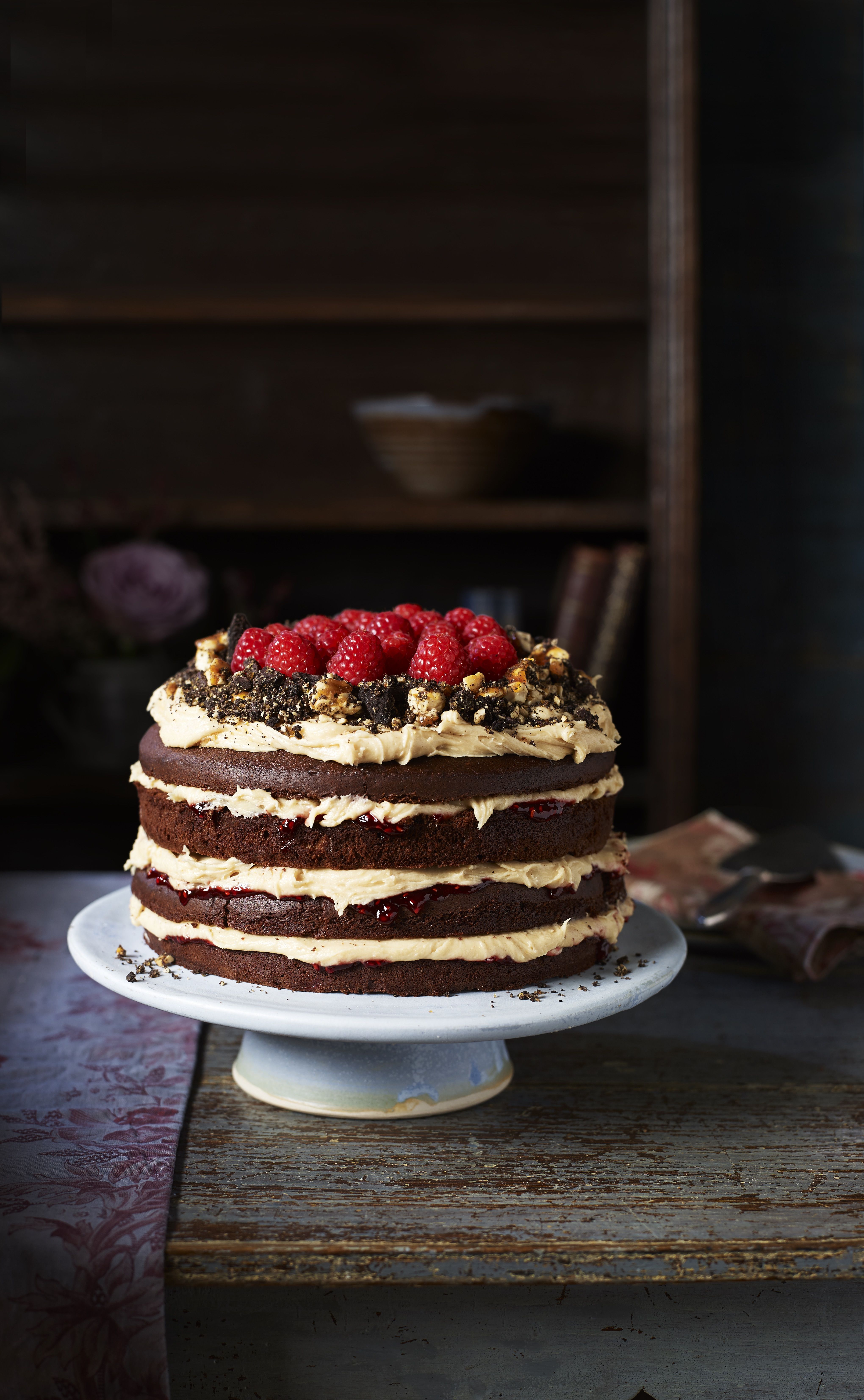 Ultimate Chocolate Cake with Raspberry Jam – Hanna's Corner