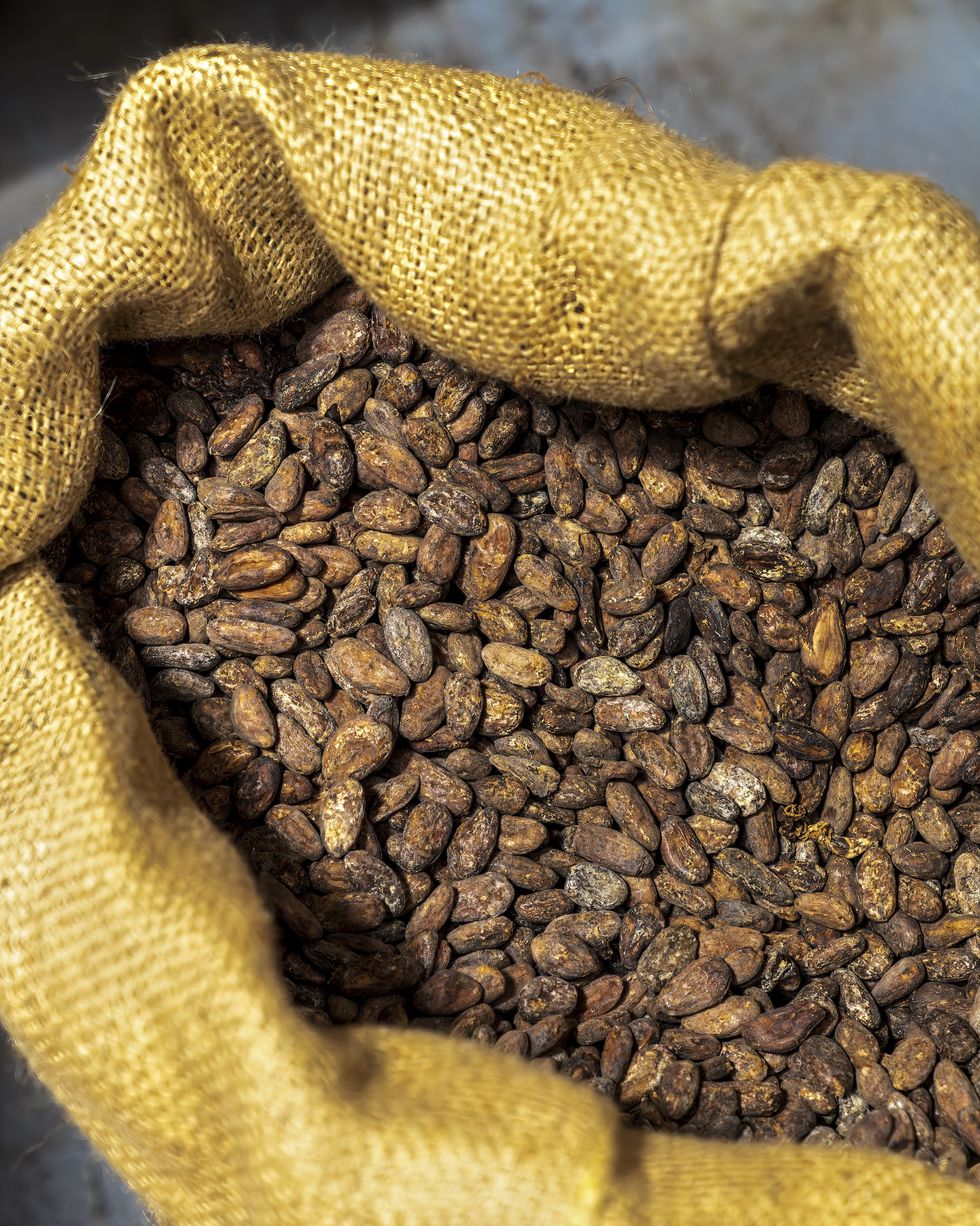a hessian sack of cocoa beans