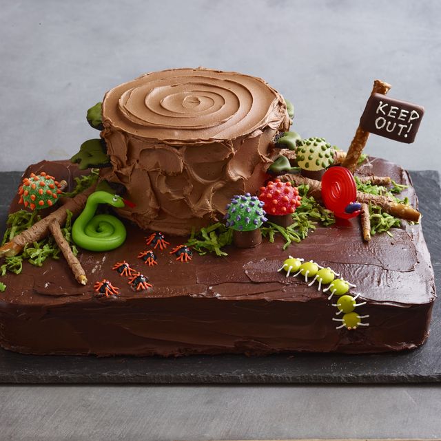 chocolate haunted forest cake