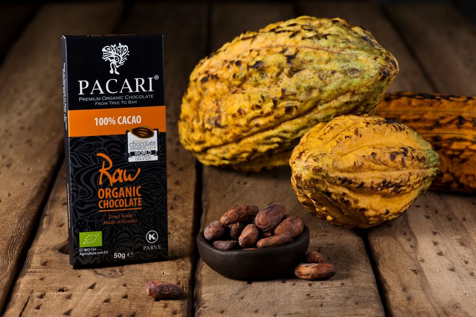chocolate pacari