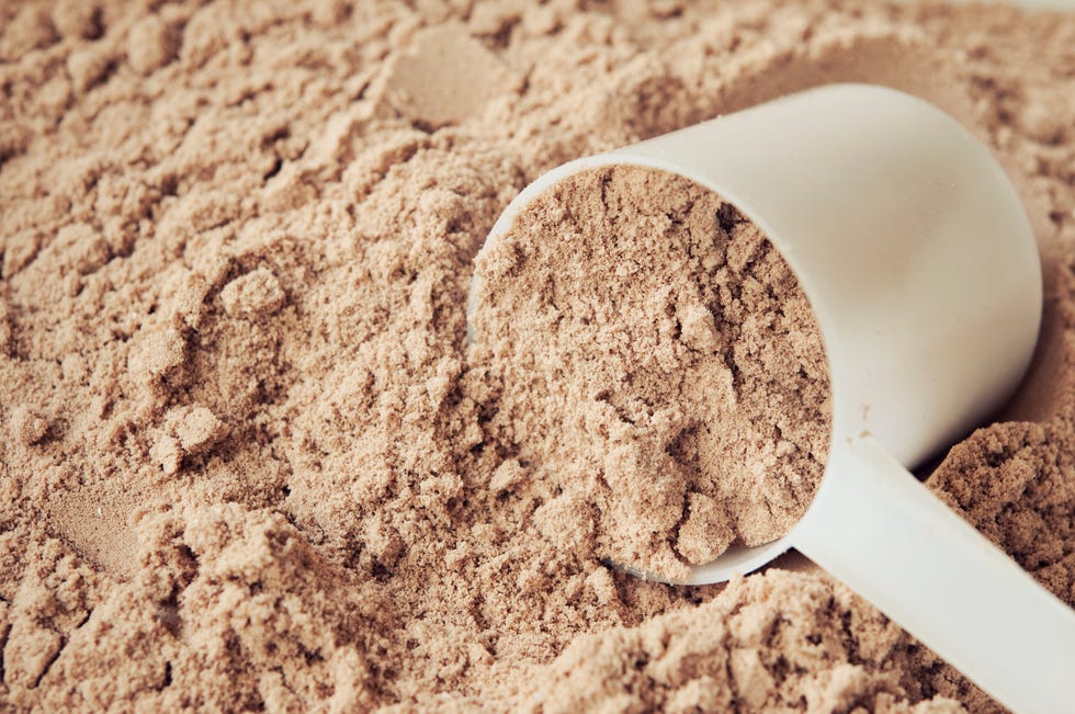 chocolate protein powder