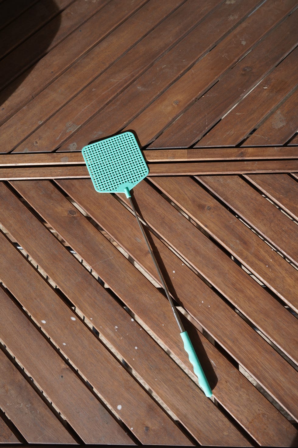 fly swatter