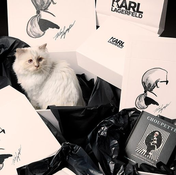 カール・ラガーフェルド|Karl Lagerfeld記事一覧 | ハーパーズ カール・ラガーフェルド|Karl Lagerfeld記事一覧 | ハーパーズ