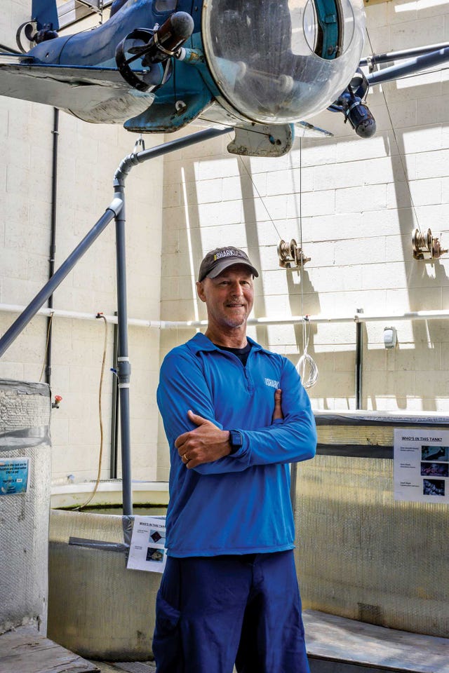 chris lowe, shark lab