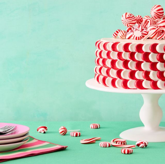 63 Best Christmas Cakes to Bake This Holiday Season
